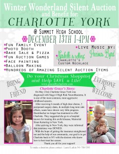 Winter Wonderland Silent Auction and Benefit for Charlotte