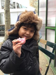 A macaroon in Bryant Park